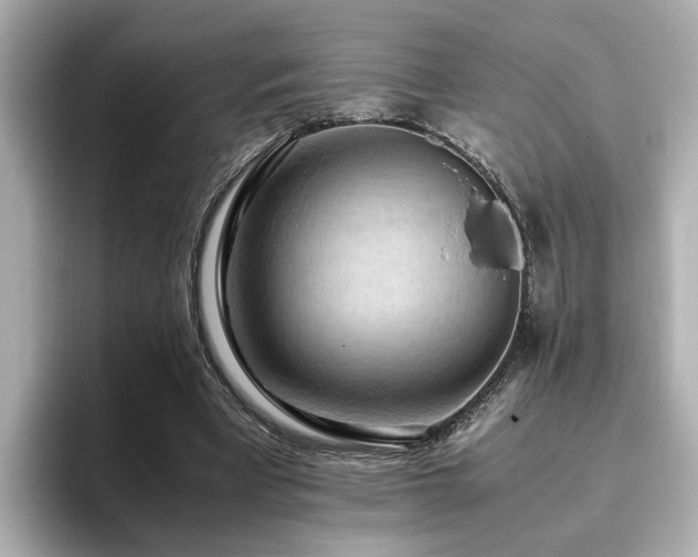 X0000096640393200802051133