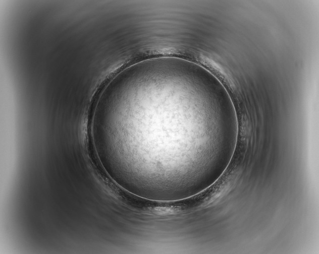 X0000096640394200802051133