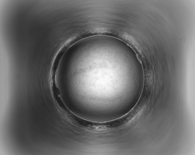 X0000096640395200802051132