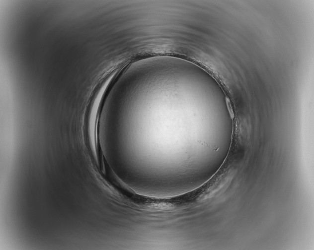 X0000096640397200802051132