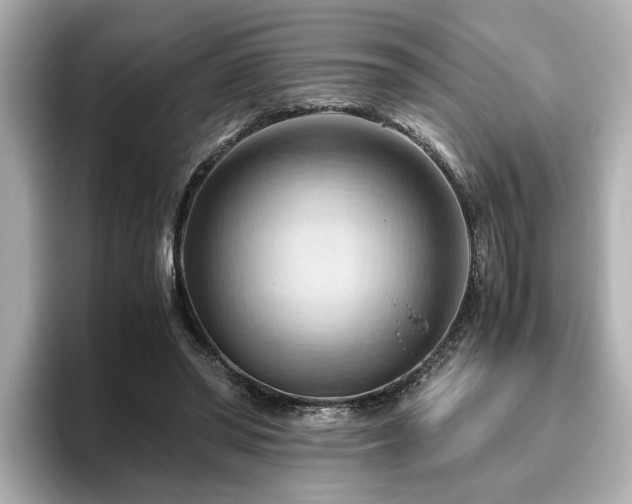 X0000096640398200802051132