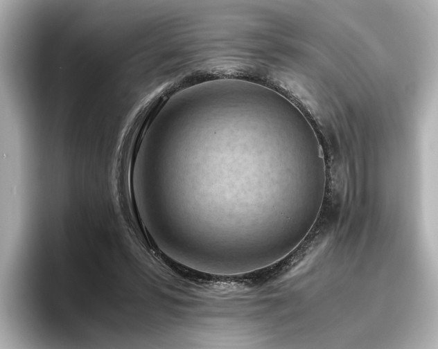 X0000096640399200802051132