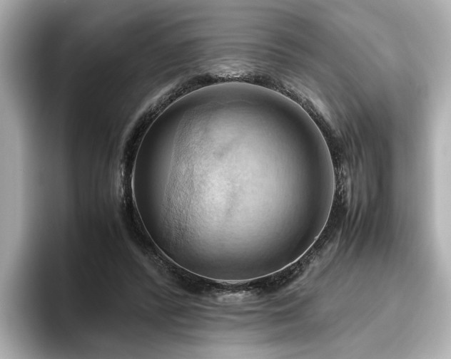 X0000096640400200802051132