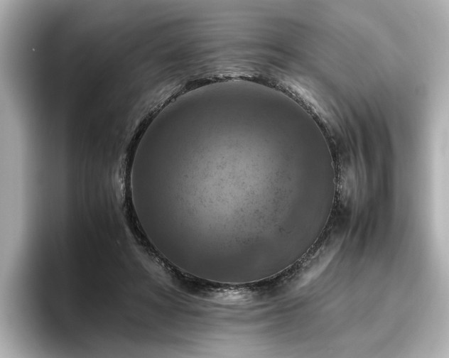X0000096640402200802051132
