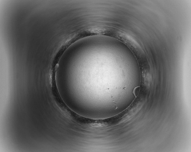 X0000096640404200802051132