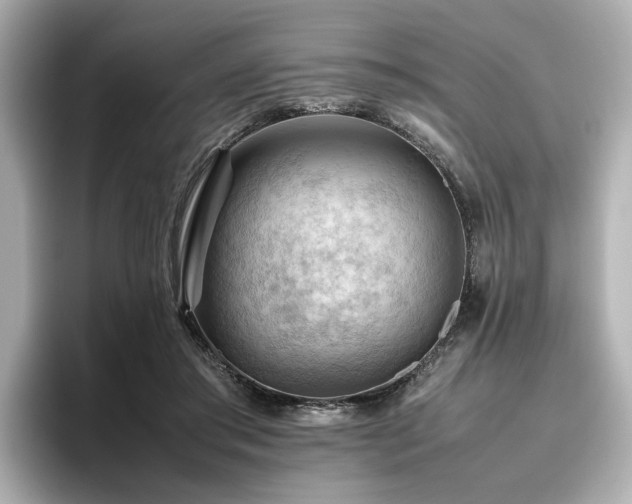 X0000096640405200802051132