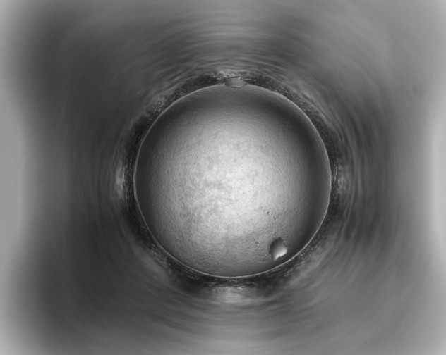 X0000096640408200802051132