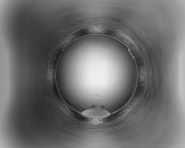X0000096640409200802051132