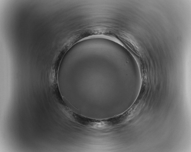 X0000096640411200802051132