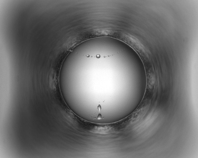 X0000096640414200802051132