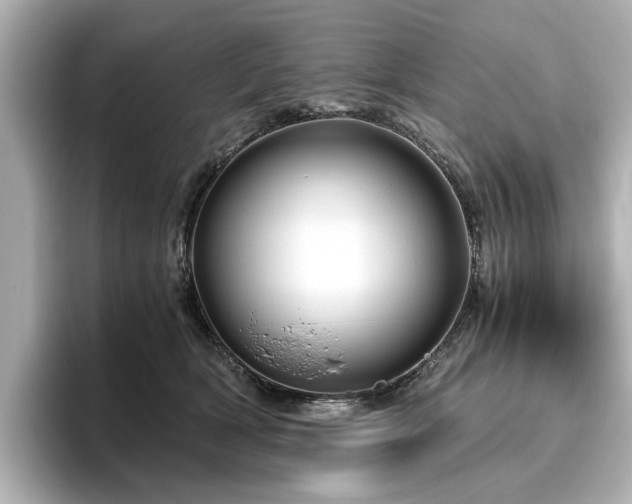 X0000096640418200802051132