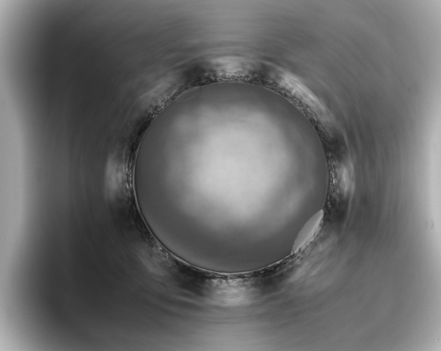 X0000096640419200802051132