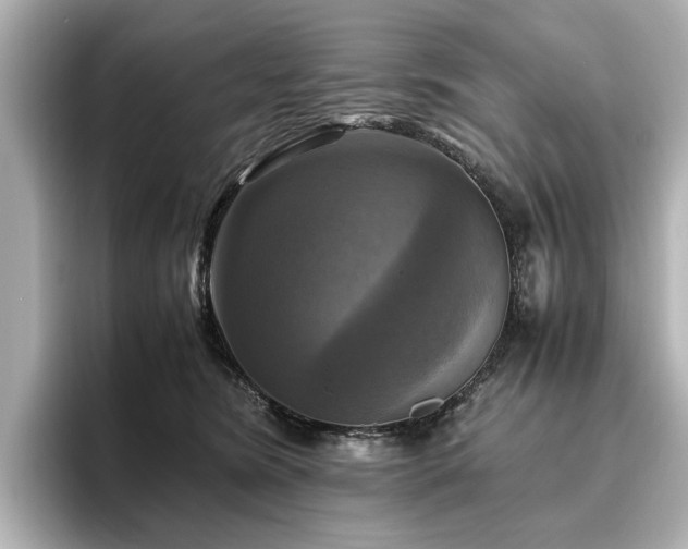 X0000096640420200802051132