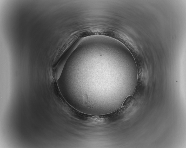 X0000096640421200802051132