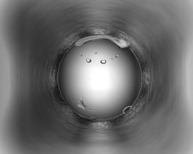 X0000096640422200802051132