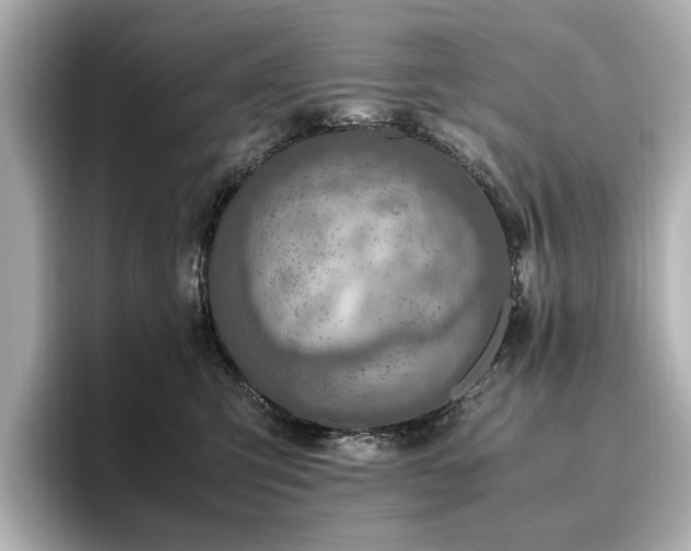 X0000096640423200802051132