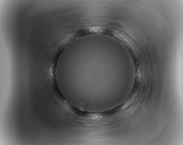 X0000096640424200802051132
