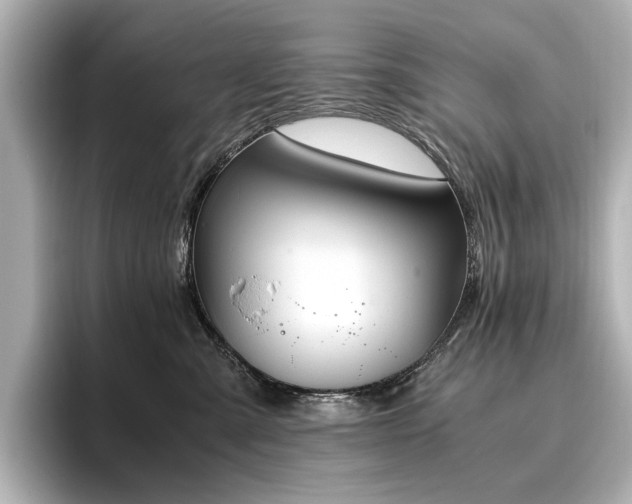X0000096640427200802051132