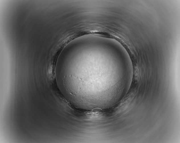 X0000096640428200802051132