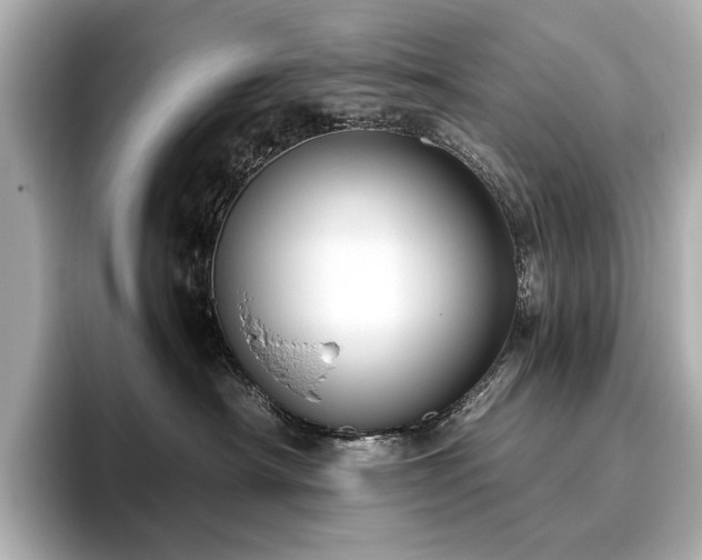 X0000096640430200802051132