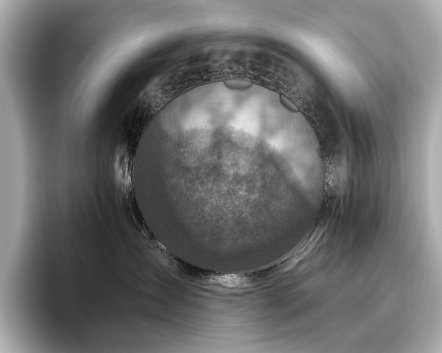 X0000096640431200802051132