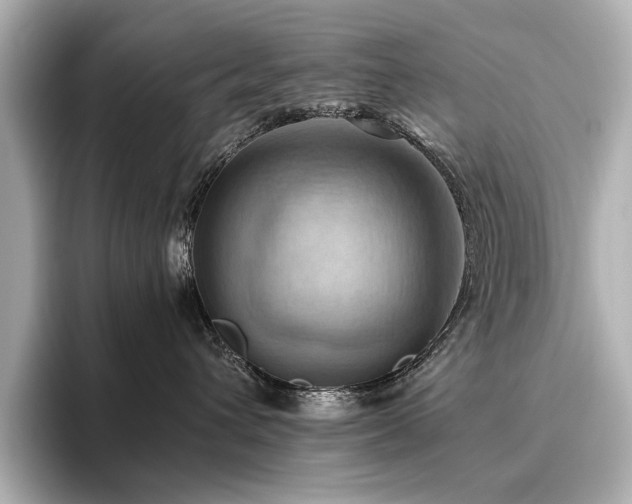 X0000096640432200802051132