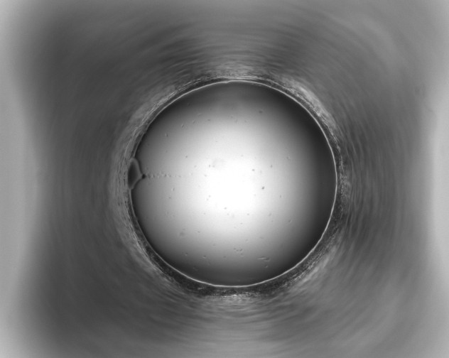 X0000096640433200802051131