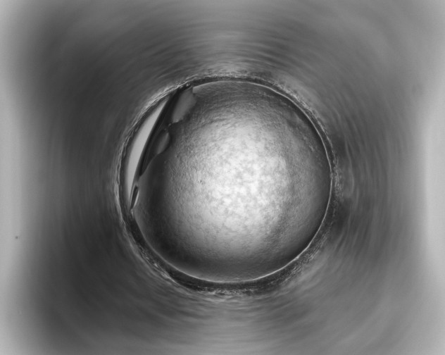 X0000096640434200802051131