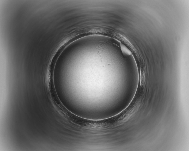 X0000096640435200802051131