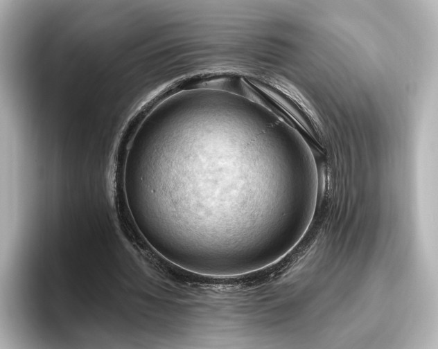 X0000096640436200802051131