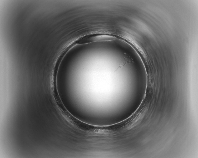 X0000096640437200802051131