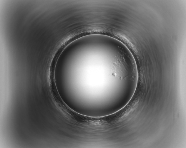 X0000096640439200802051131