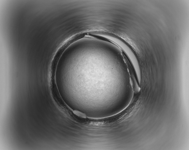 X0000096640440200802051131