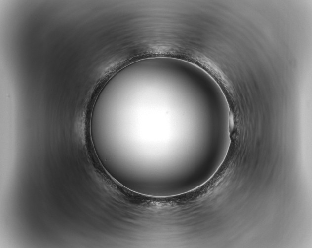 X0000096640442200802051131