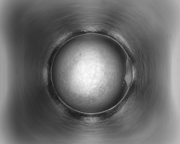 X0000096640444200802051132