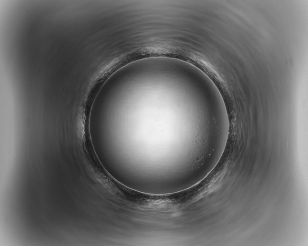 X0000096640446200802051132