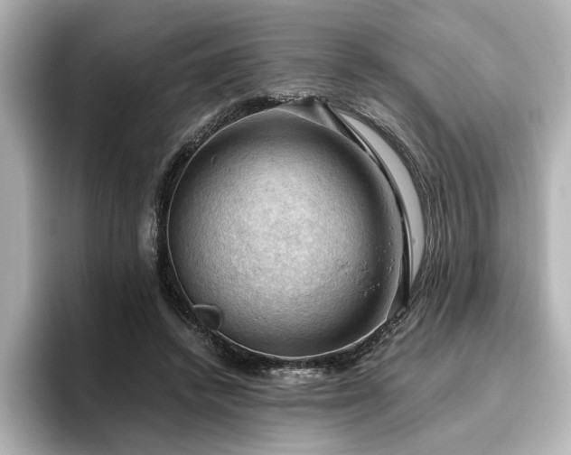 X0000096640448200802051132