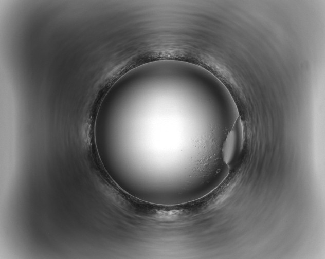 X0000096640450200802051132
