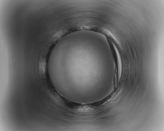 X0000096640451200802051132