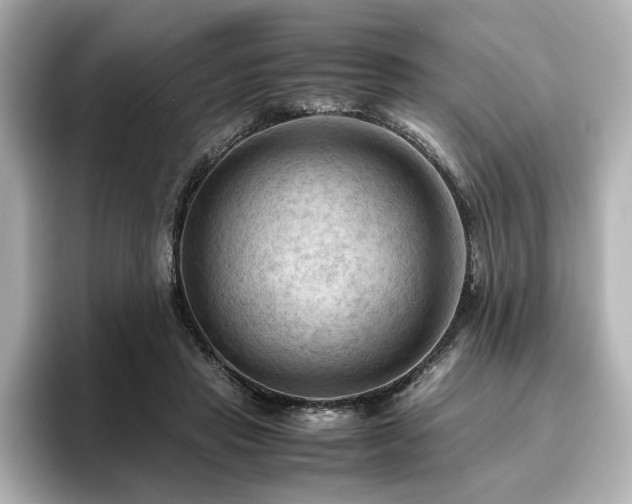 X0000096640453200802051132