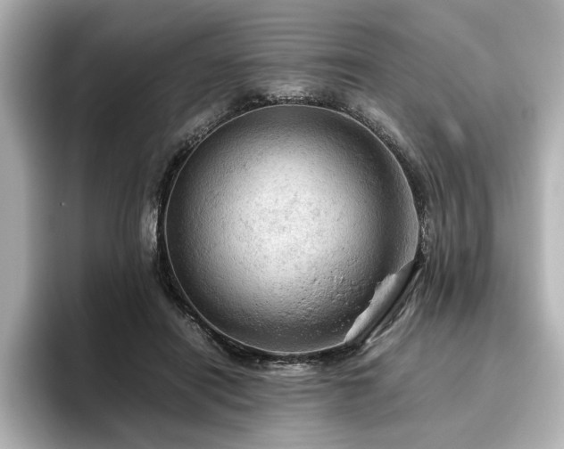 X0000096640454200802051132