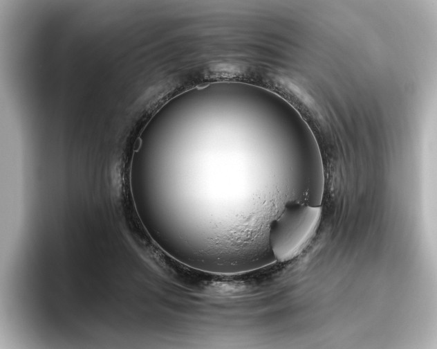 X0000096640455200802051132