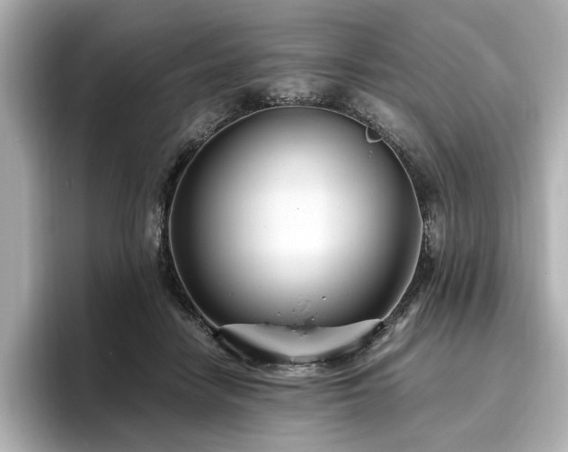 X0000096640458200802051132