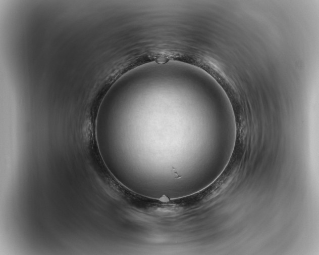 X0000096640459200802051132