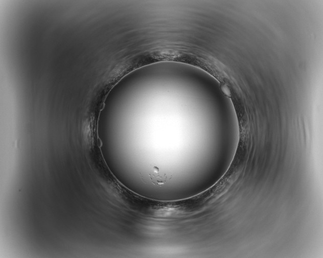 X0000096640460200802051132