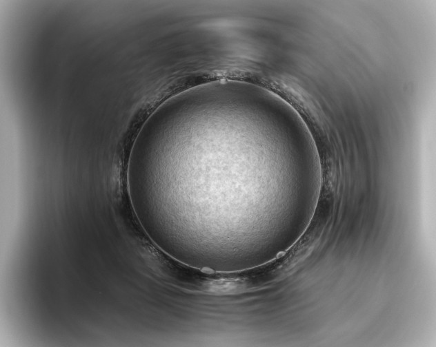 X0000096640461200802051132