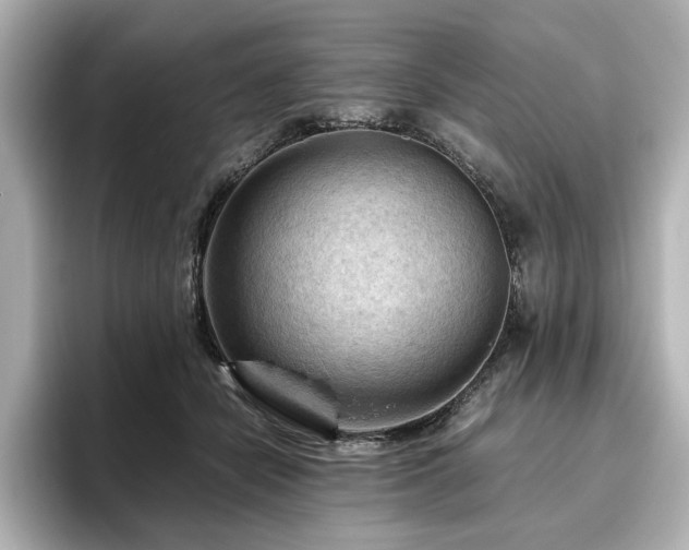 X0000096640462200802051132