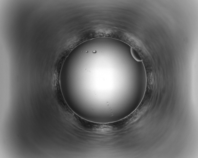 X0000096640463200802051132