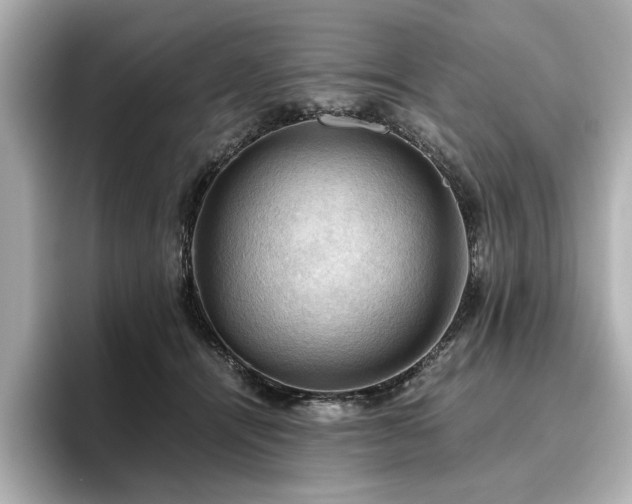 X0000096640464200802051132