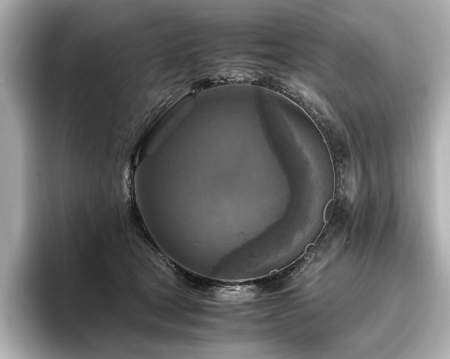 X0000096640465200802051132